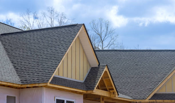 Best Sheet Metal Roofing  in Brandermill, VA